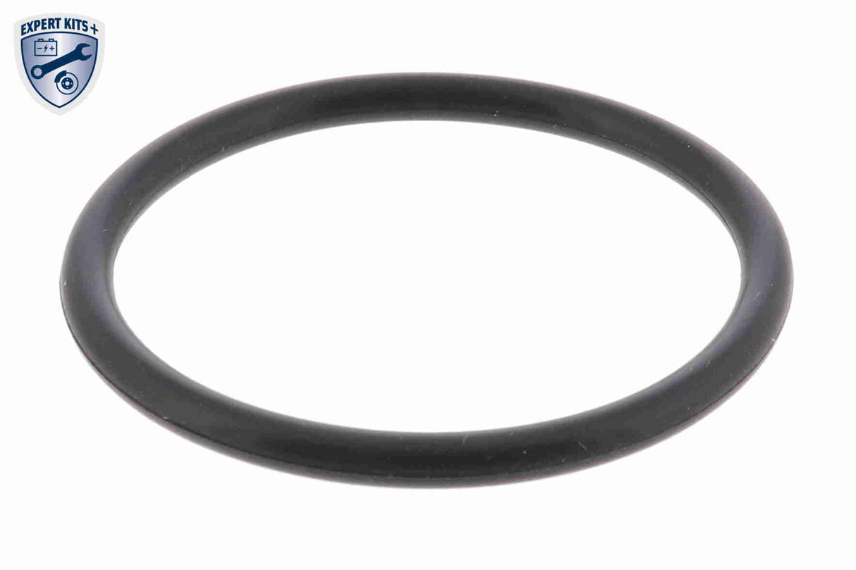 Thermostat Housing - V15-99-2038