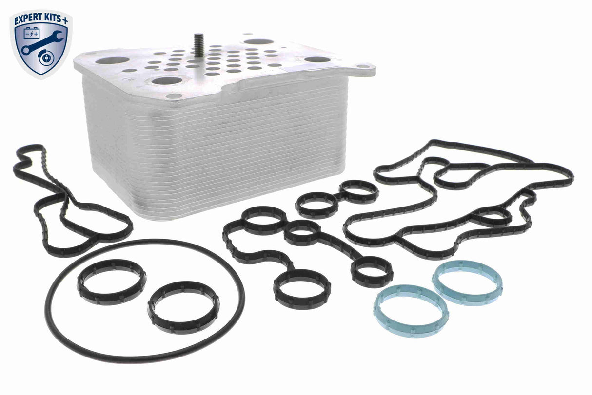 Oil Cooler, engine oil - V25-60-0042