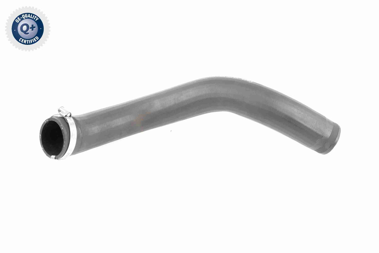 Charge Air Hose - V10-3777