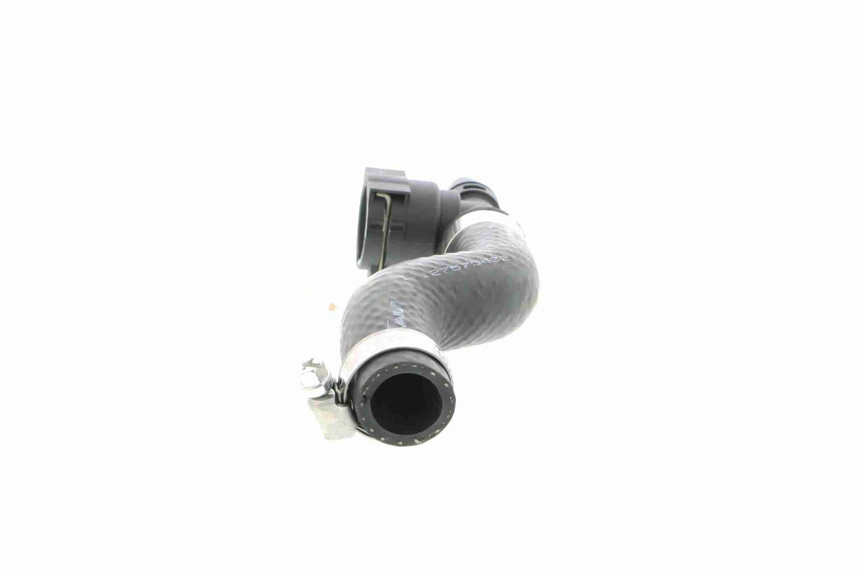 Radiator Hose - V20-2343