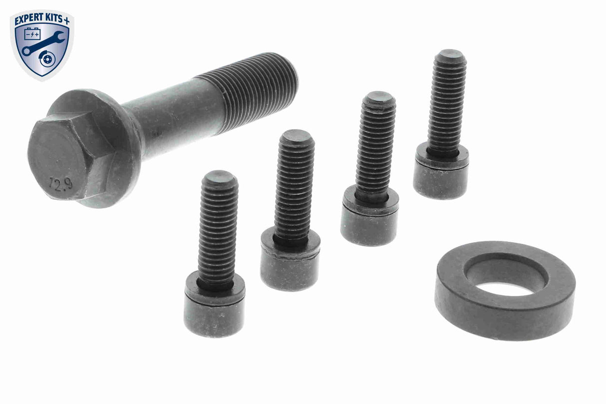 Belt Pulley Set, crankshaft - V24-0865