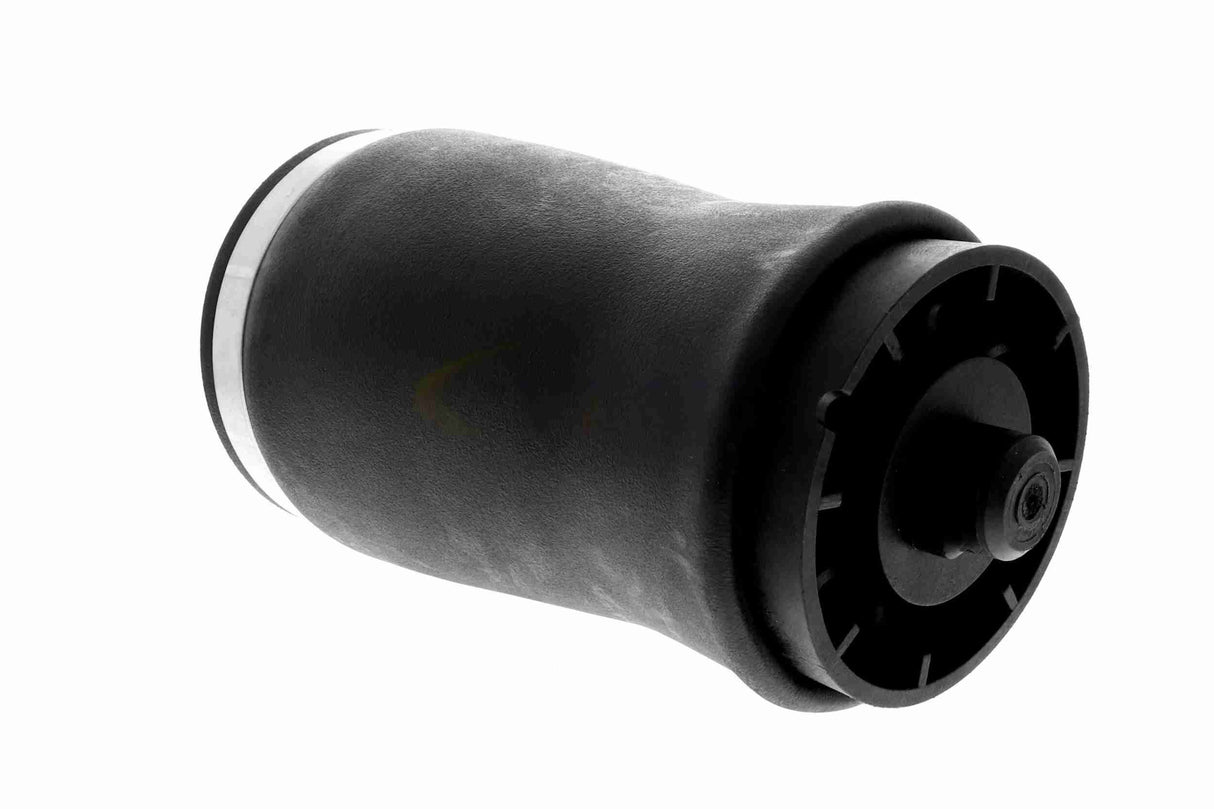 Air Suspension Strut - V20-50-0002-1