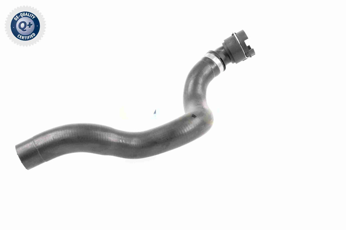 Radiator Hose - V25-1503