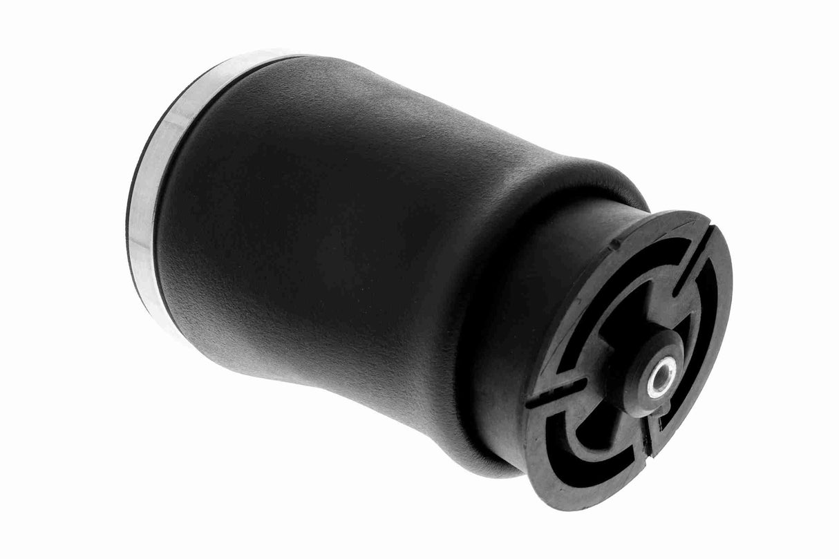 Air Suspension Strut - V20-50-0020-1