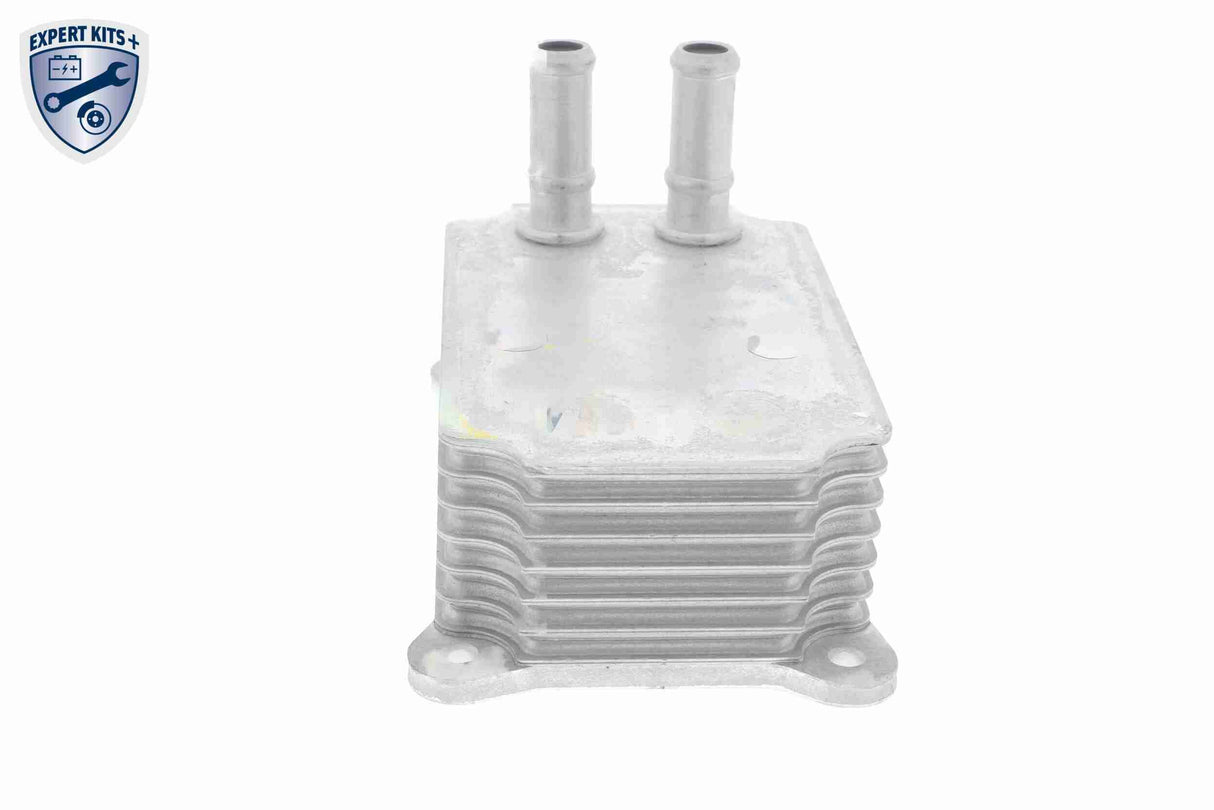 Oil Cooler, engine oil - V25-60-0033