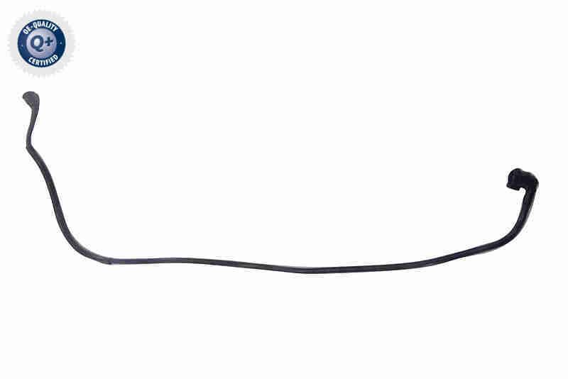 Radiator Hose - V20-4352