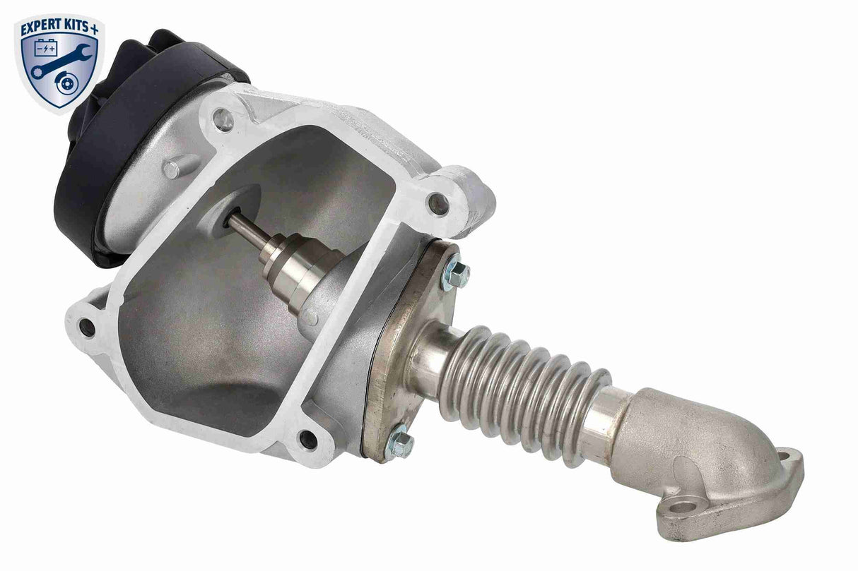 Valve, exhaust gas recirculation - V30-63-0004