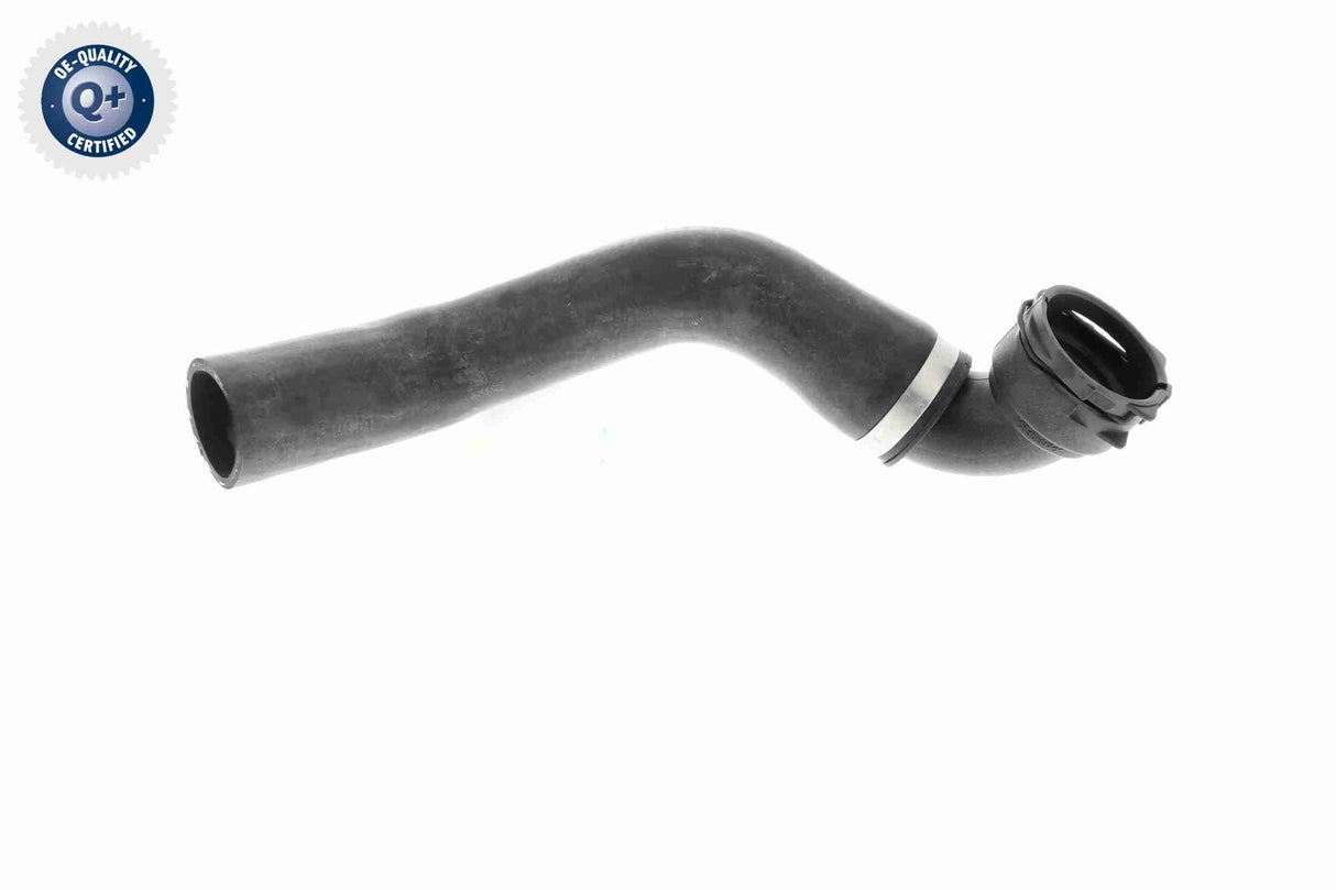 Radiator Hose - V48-0143