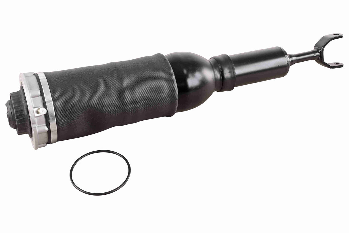 Air Suspension Strut - V10-50-0009
