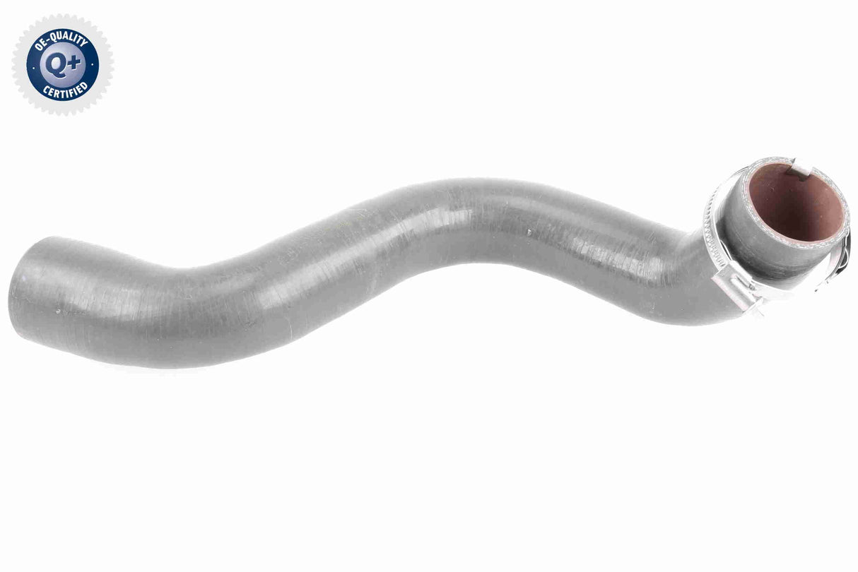 Charge Air Hose - V46-0823