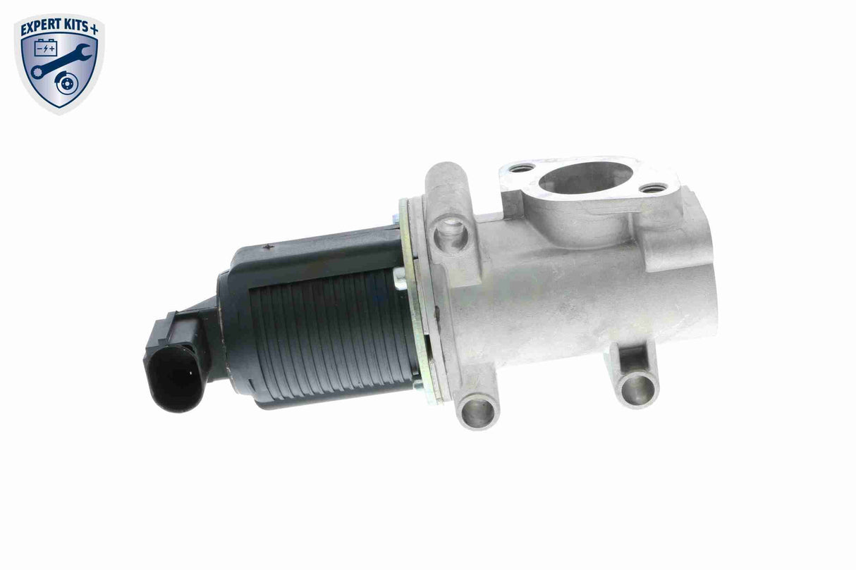 Valve, exhaust gas recirculation - V24-63-0010-1
