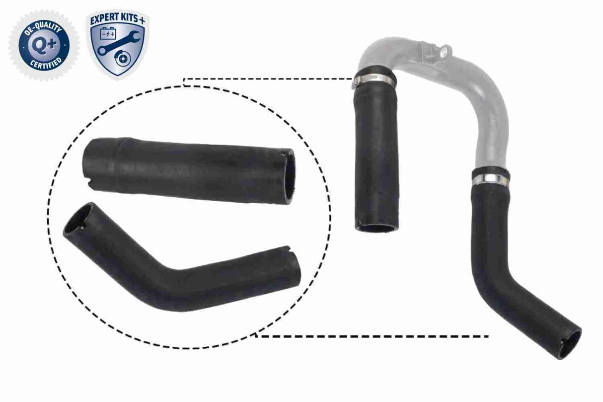 Charge Air Hose - V24-0734