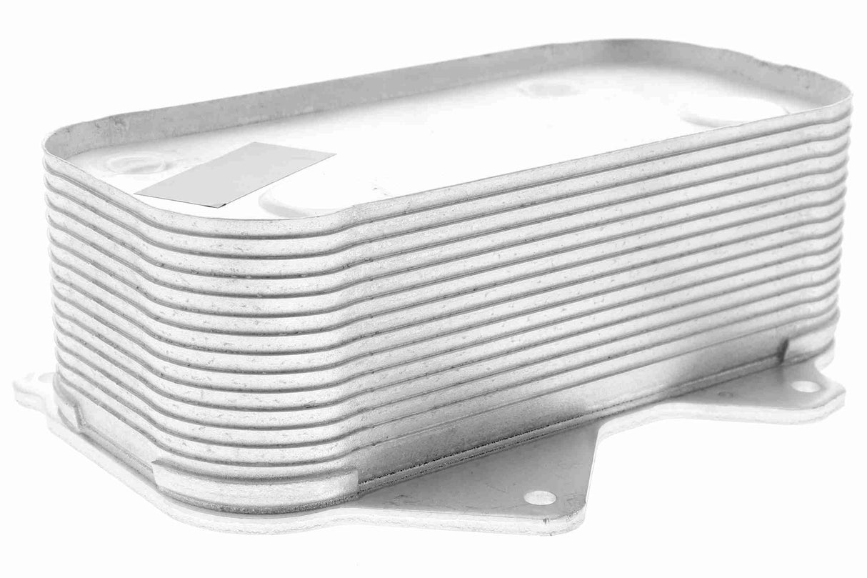 Oil Cooler, engine oil - V15-60-0010