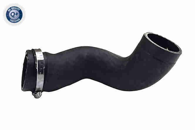 Charge Air Hose - V95-0624