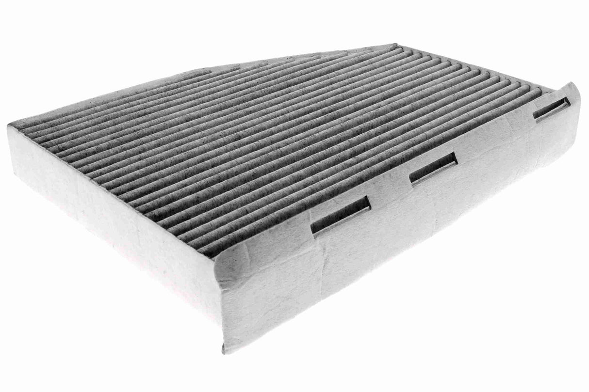Filter, cabin air - V10-31-0002