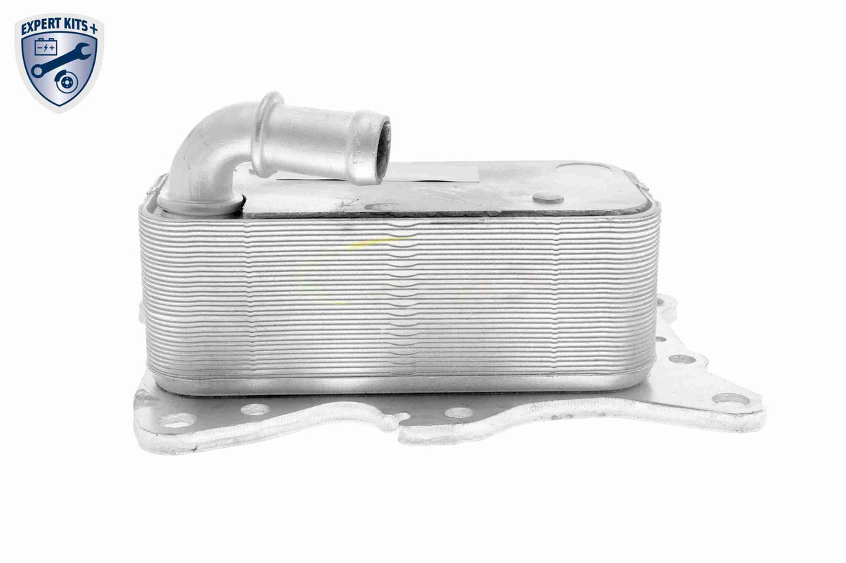 Oil Cooler, engine oil - V30-60-0007