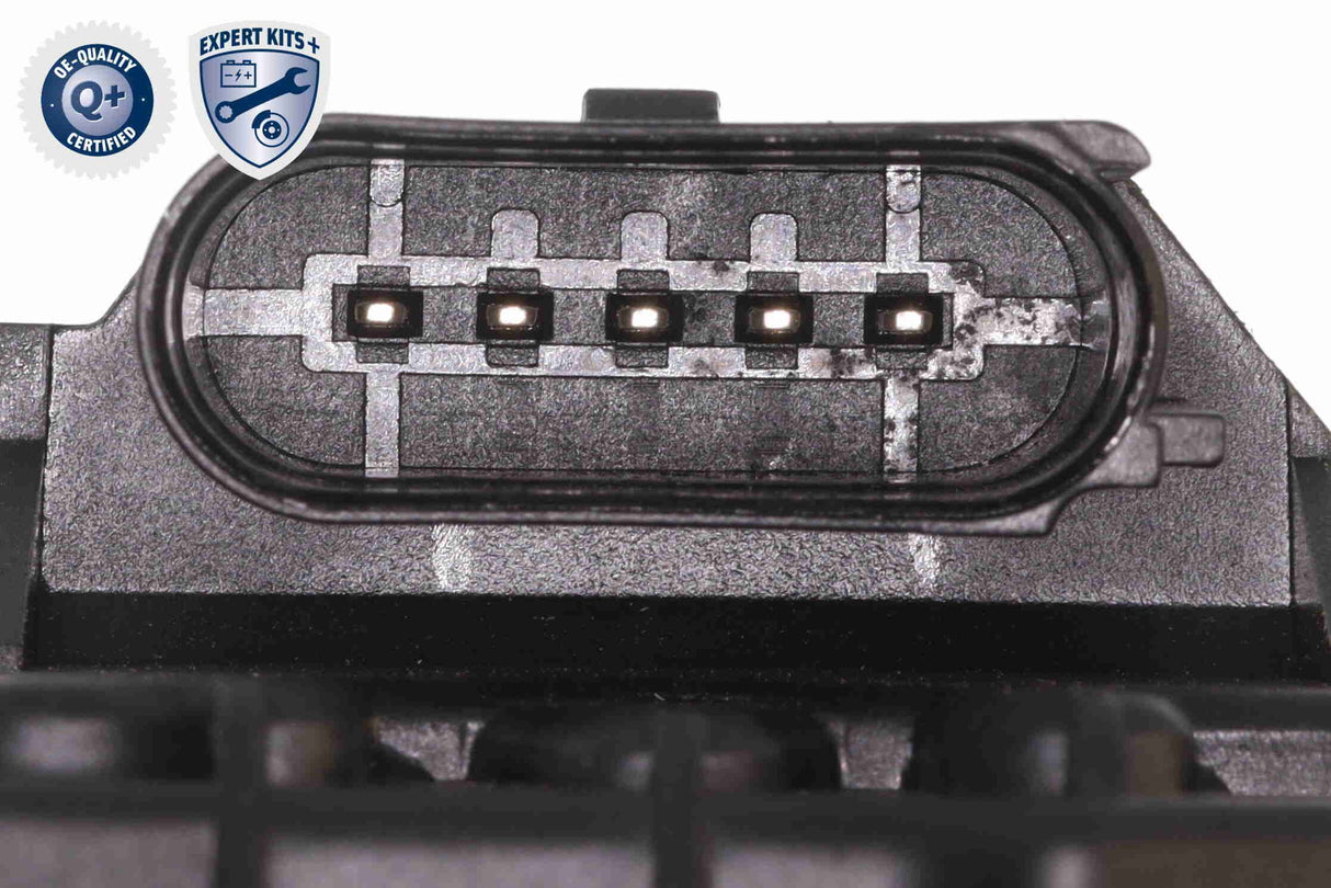 Water Pump & Timing Belt Kit - V10-50114