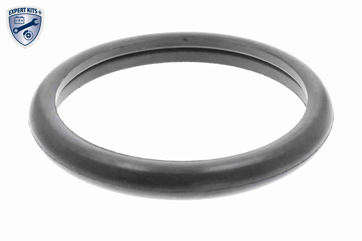 Seal, thermostat - V25-99-1744