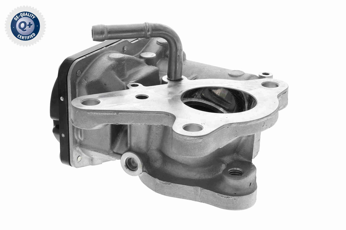 Valve, exhaust gas recirculation - V46-63-0024