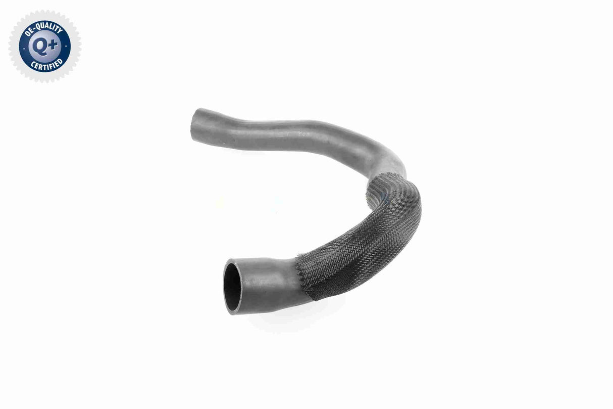 Charge Air Hose - V24-0679