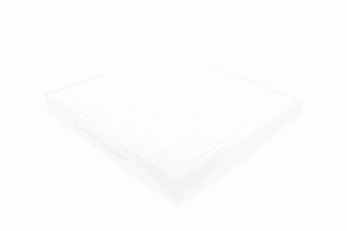 Filter, cabin air - V24-30-1006