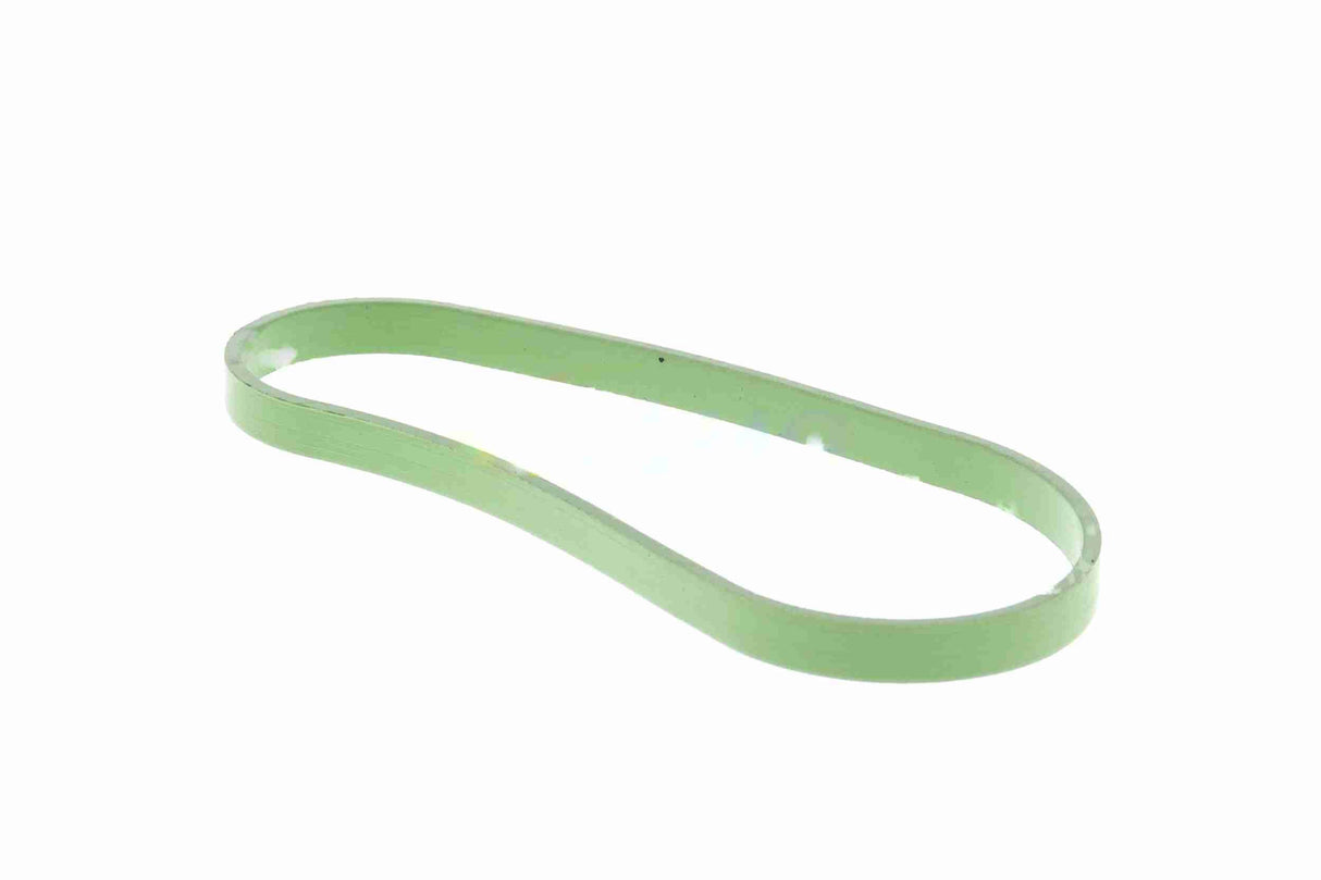 Gasket, throttle body - V10-81-0131