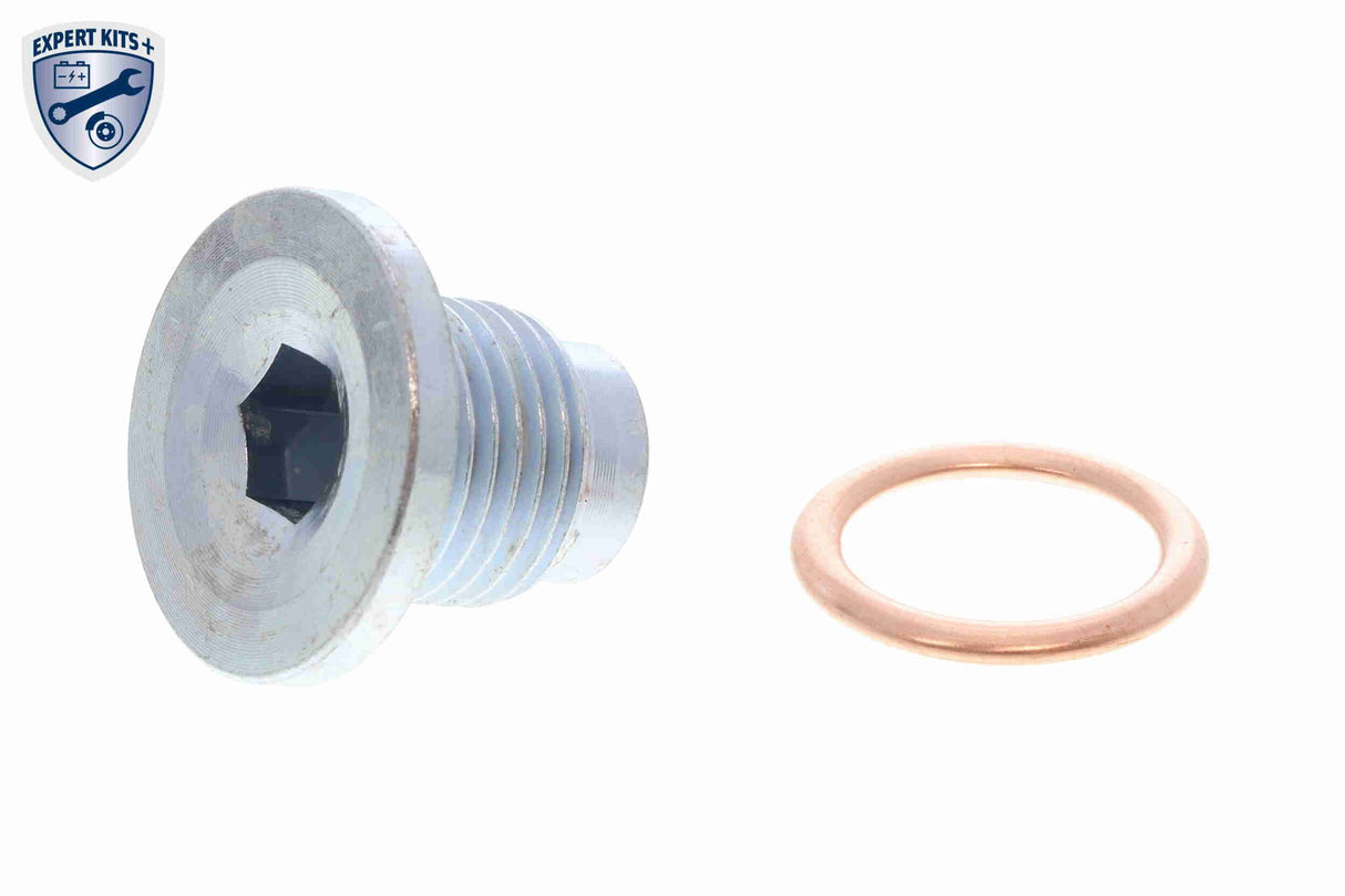 Timing Belt Kit - V22-0887