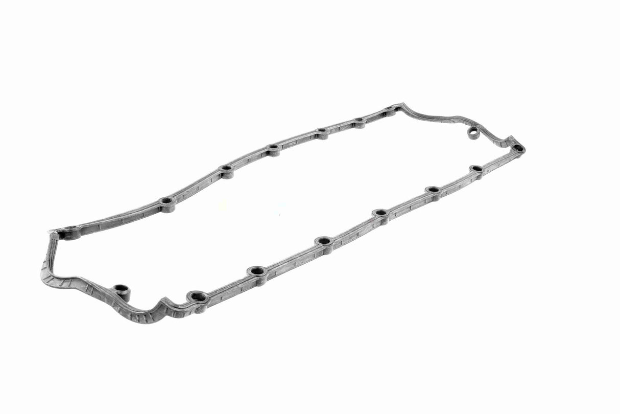 Gasket, cylinder head cover - V10-4067