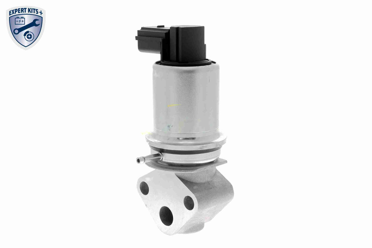 Valve, exhaust gas recirculation - V10-63-0006