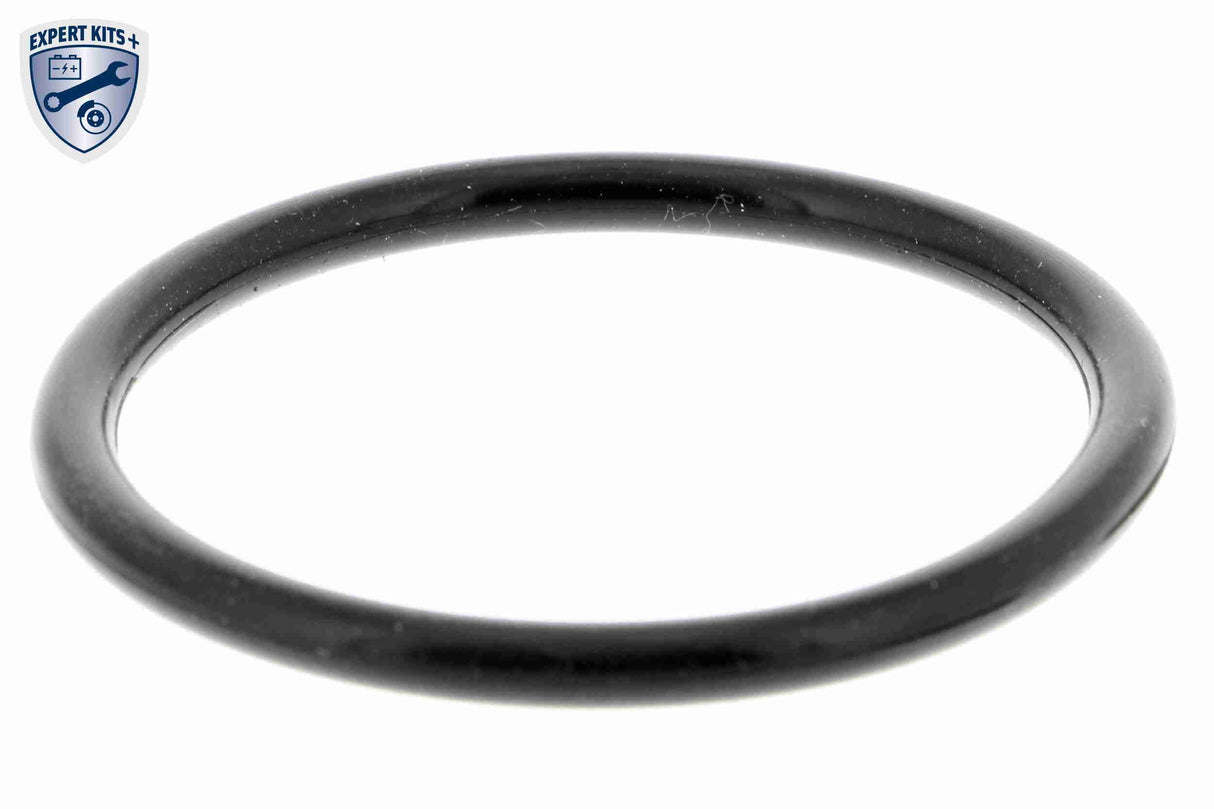 Thermostat Housing - V15-99-2031