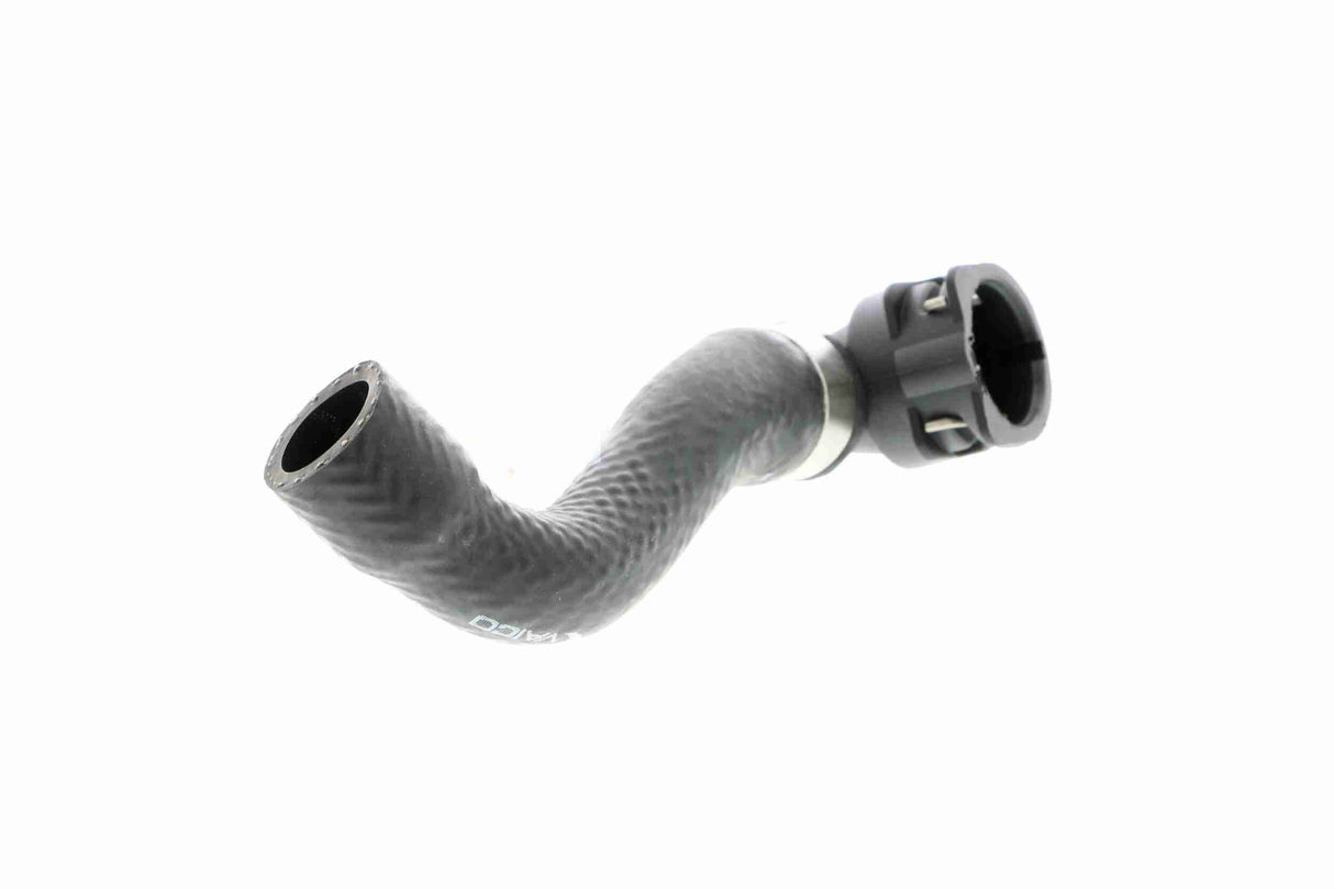 Radiator Hose - V20-1667