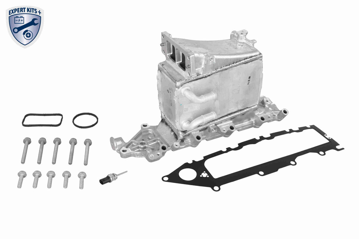 Charge Air Cooler - V10-60-0082