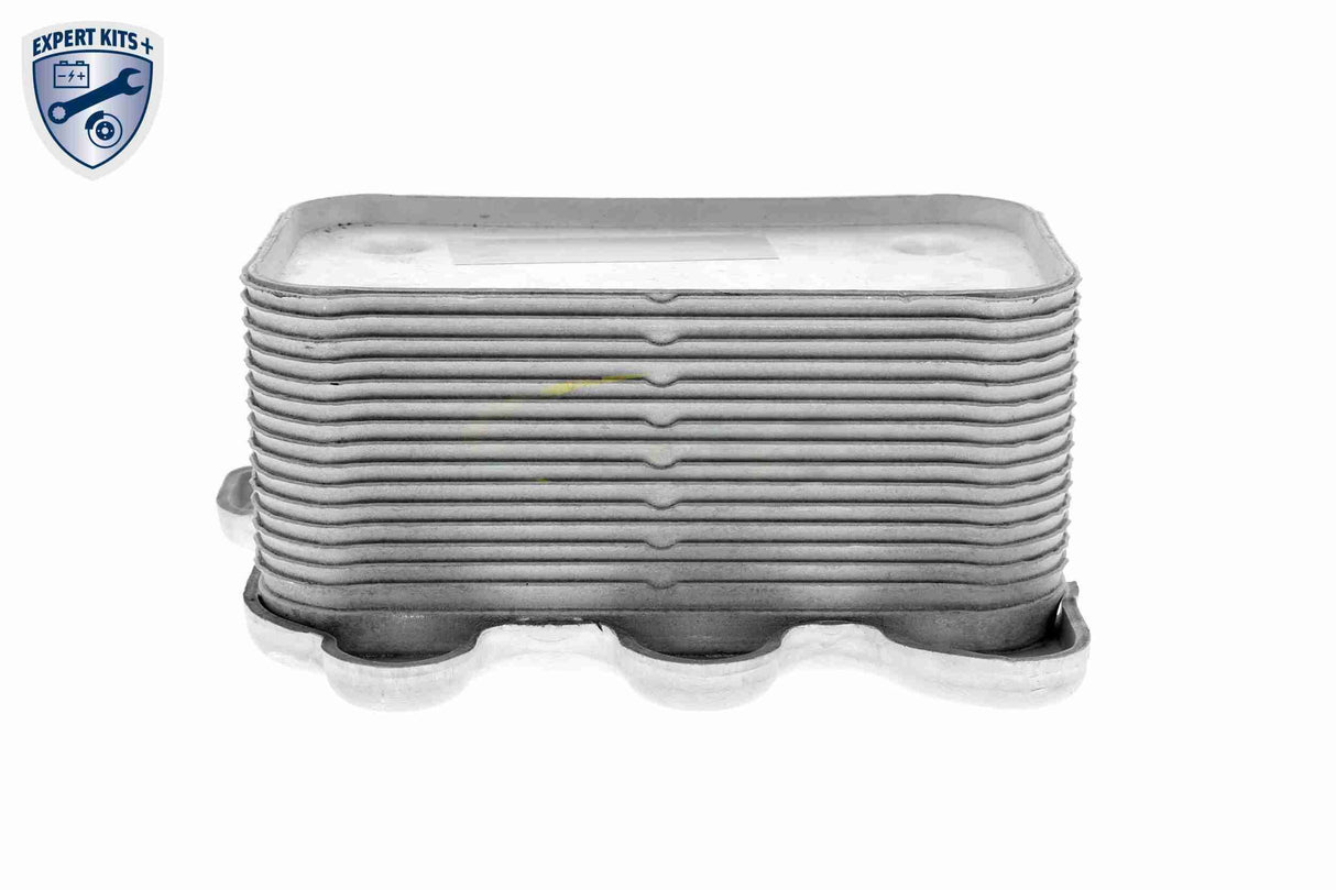 Oil Cooler, engine oil - V30-60-0005