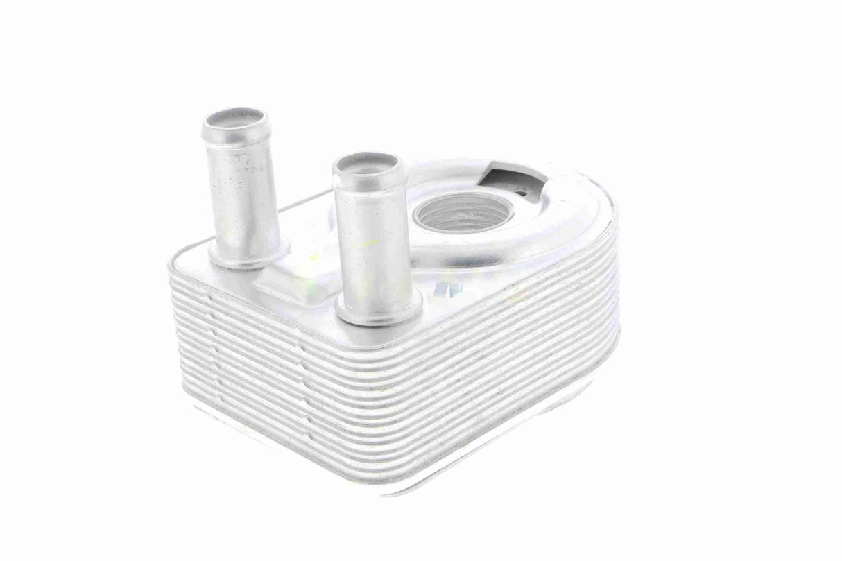 Oil Cooler, engine oil - V25-60-0028