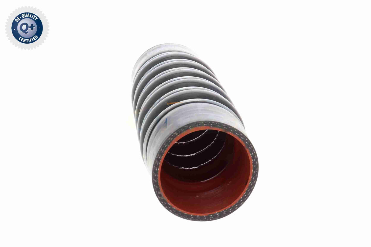 Charge Air Hose - V25-2016