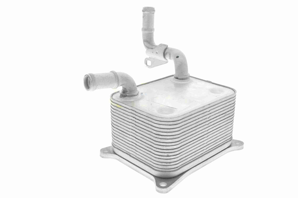 Oil Cooler, engine oil - V15-60-0013