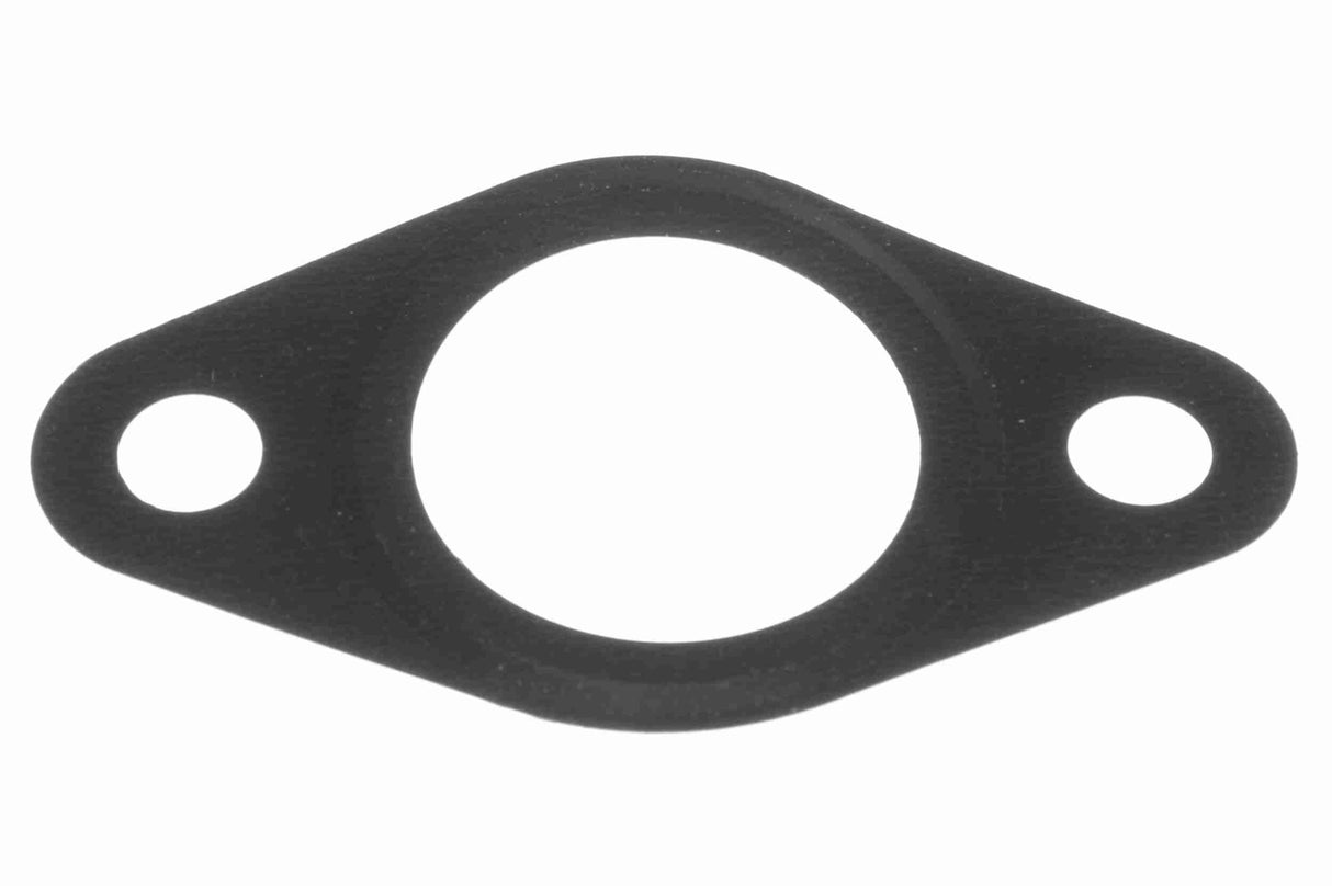 Gasket, EGR valve - V24-63-0015
