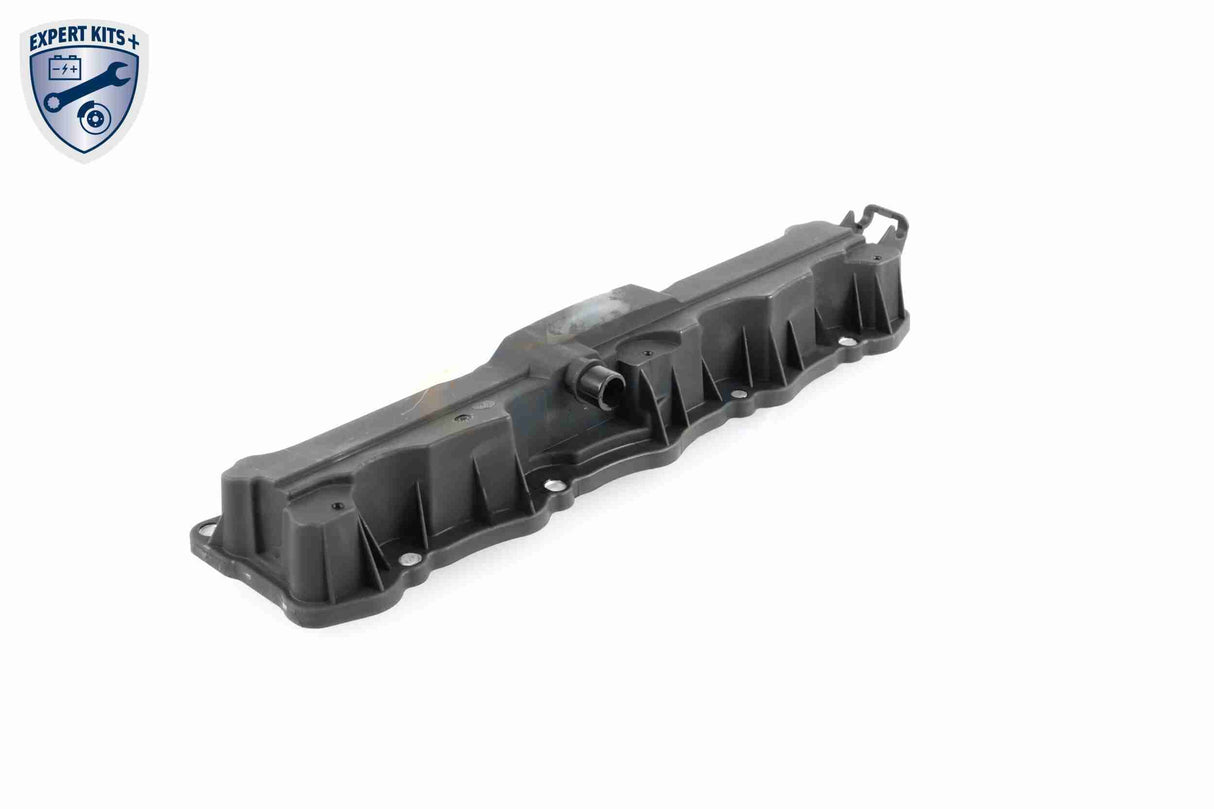 Cylinder Head Cover - V42-0900