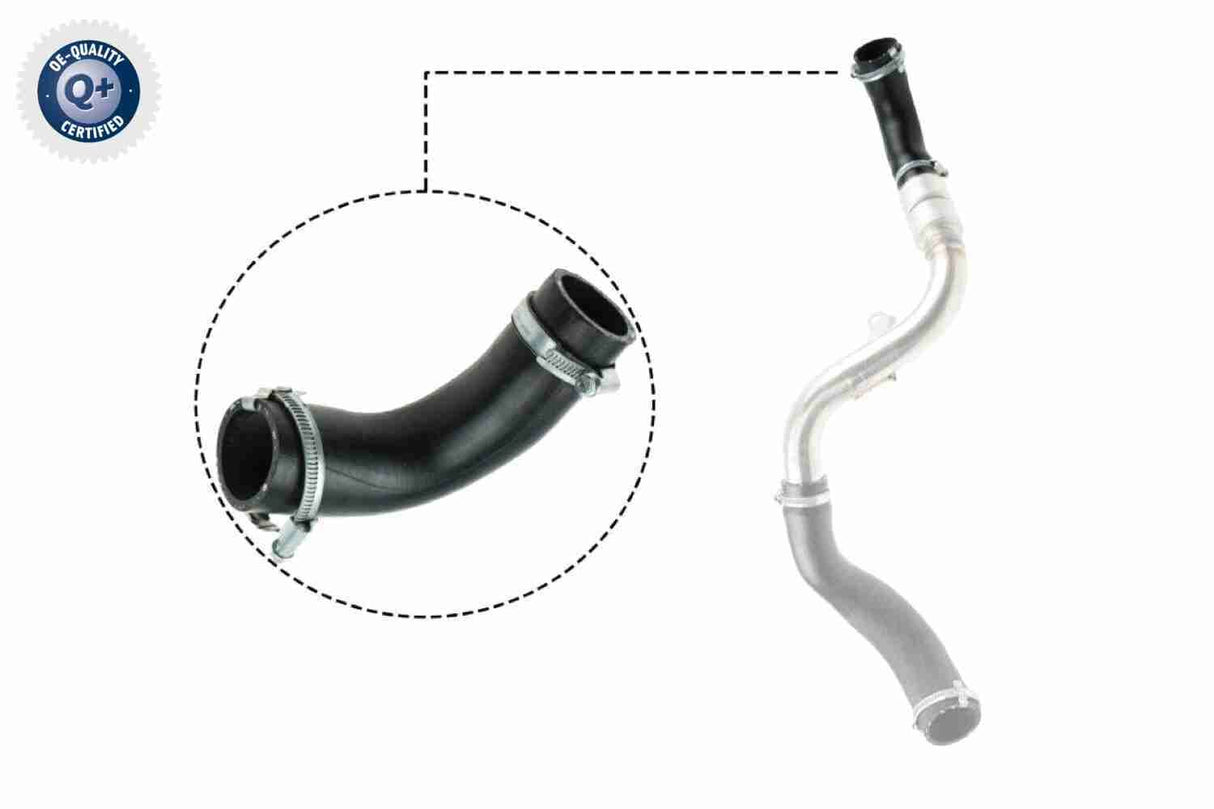 Charge Air Hose - V25-1023