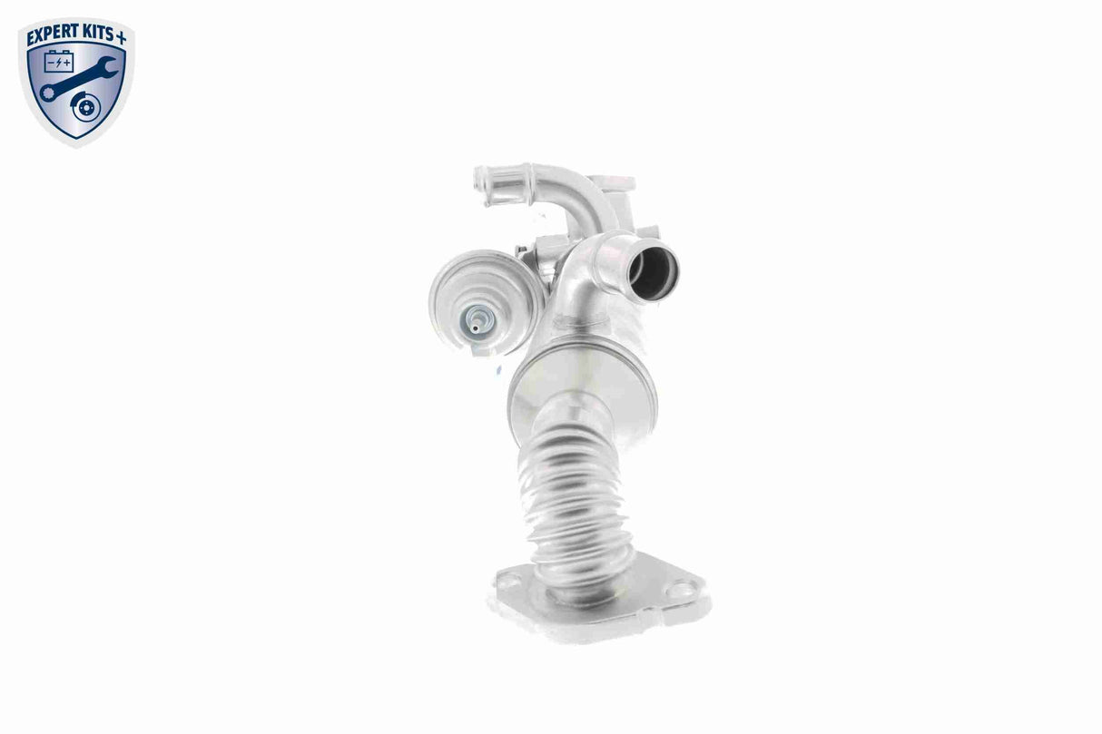 Cooler, exhaust gas recirculation - V10-63-0129