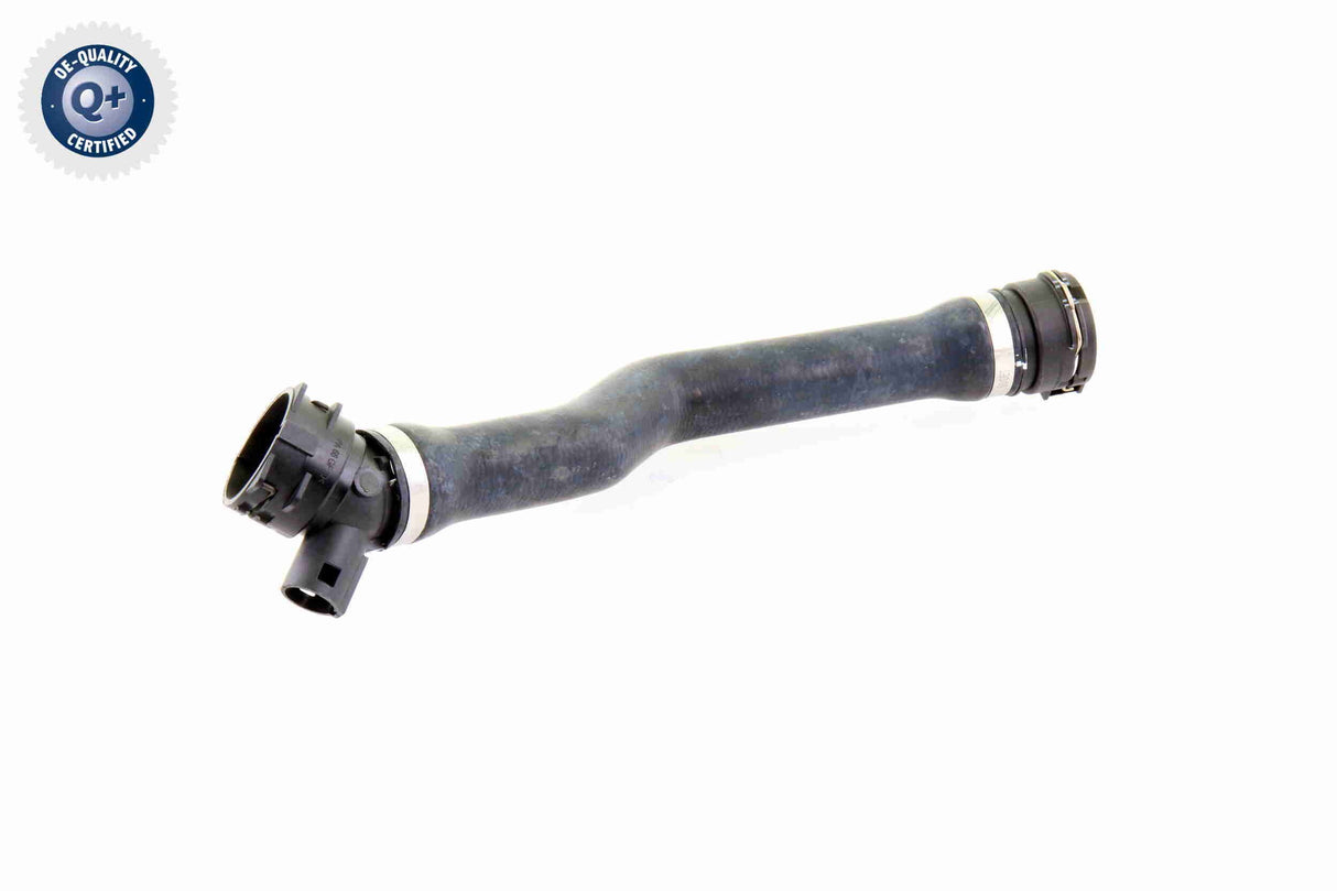 Radiator Hose - V20-1763