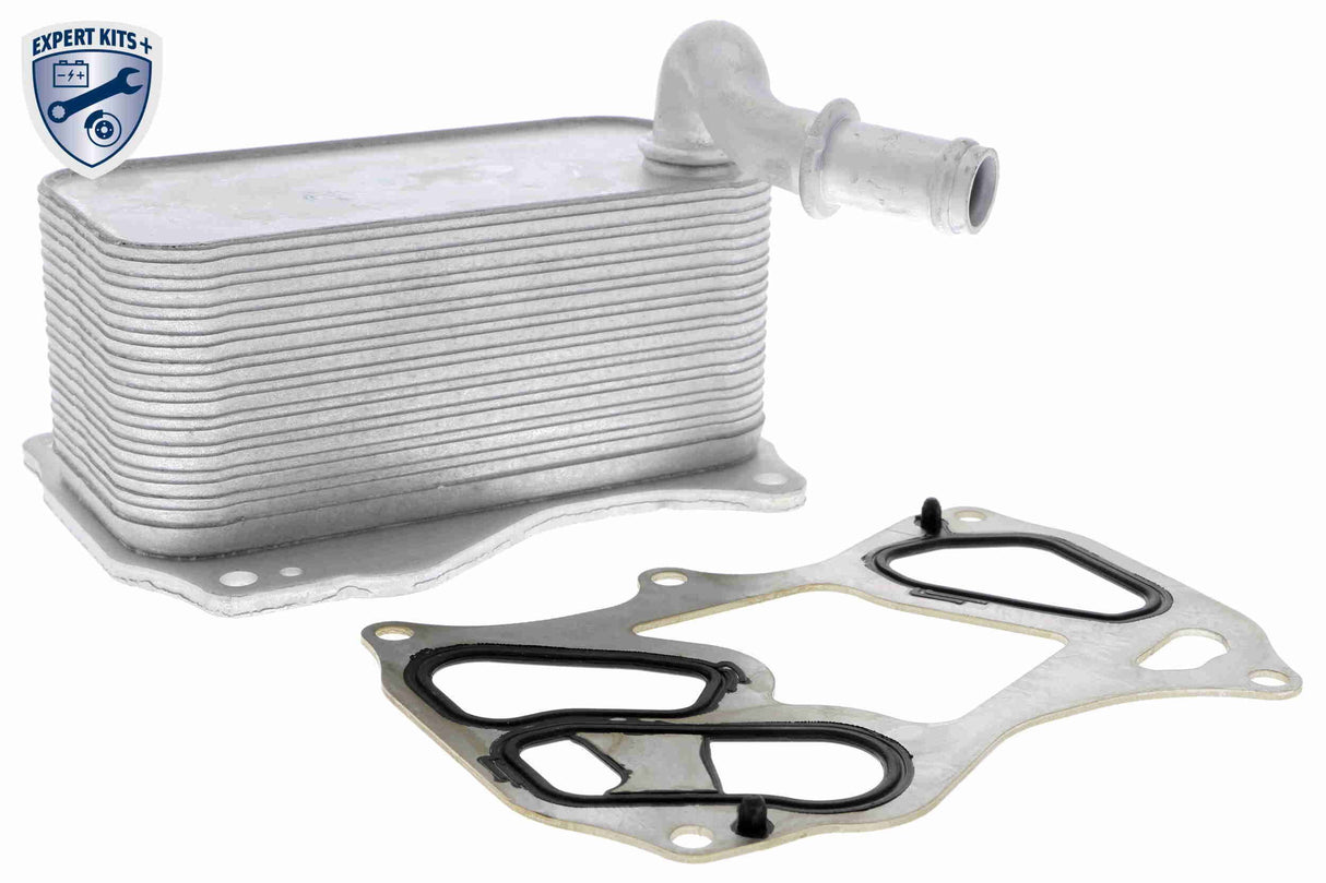 Oil Cooler, engine oil - V30-60-1342