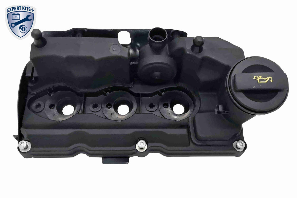 Cylinder Head Cover - V10-6514