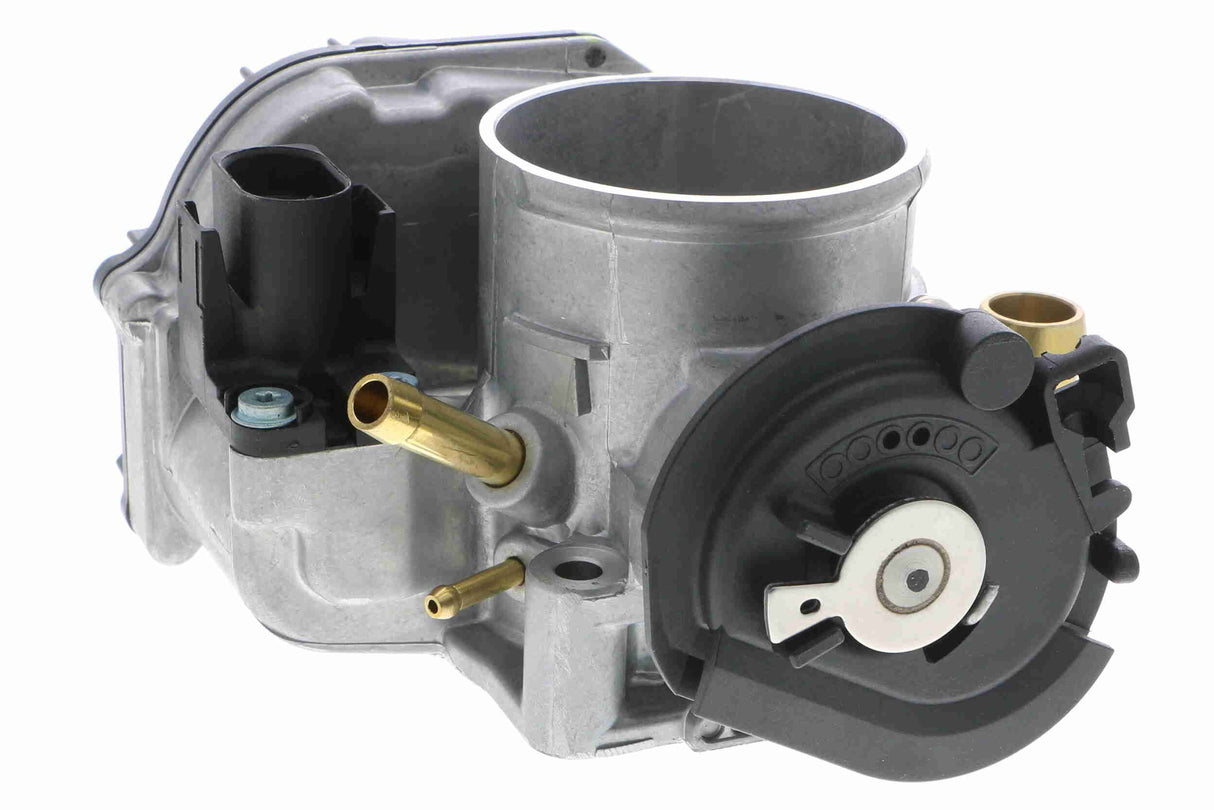 Throttle Body - V10-81-0100