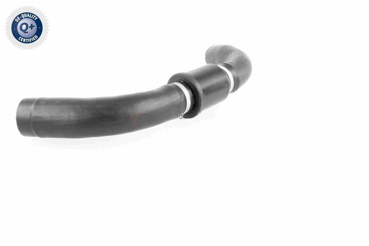 Radiator Hose - V25-1126