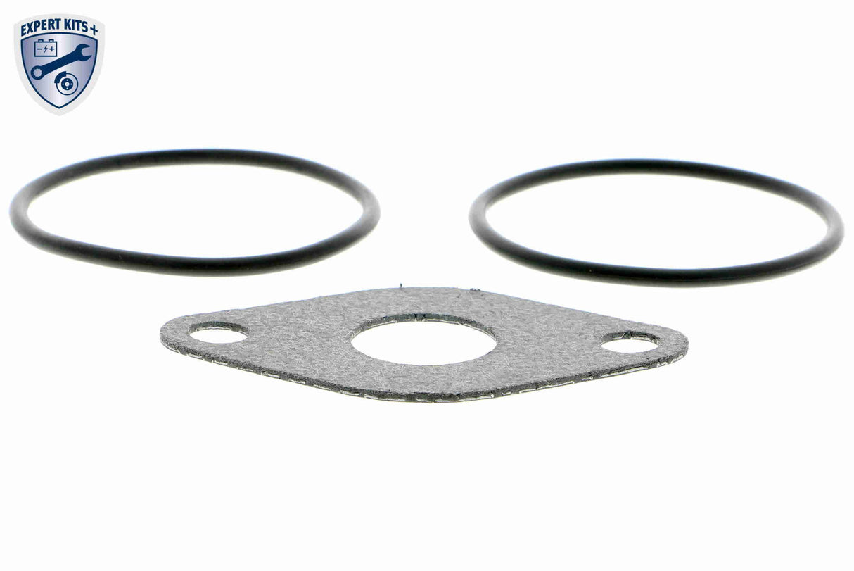 Valve, exhaust gas recirculation - V10-63-0031