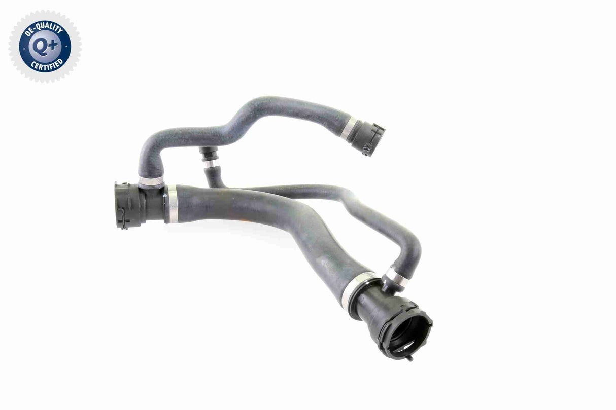 Radiator Hose - V20-0877