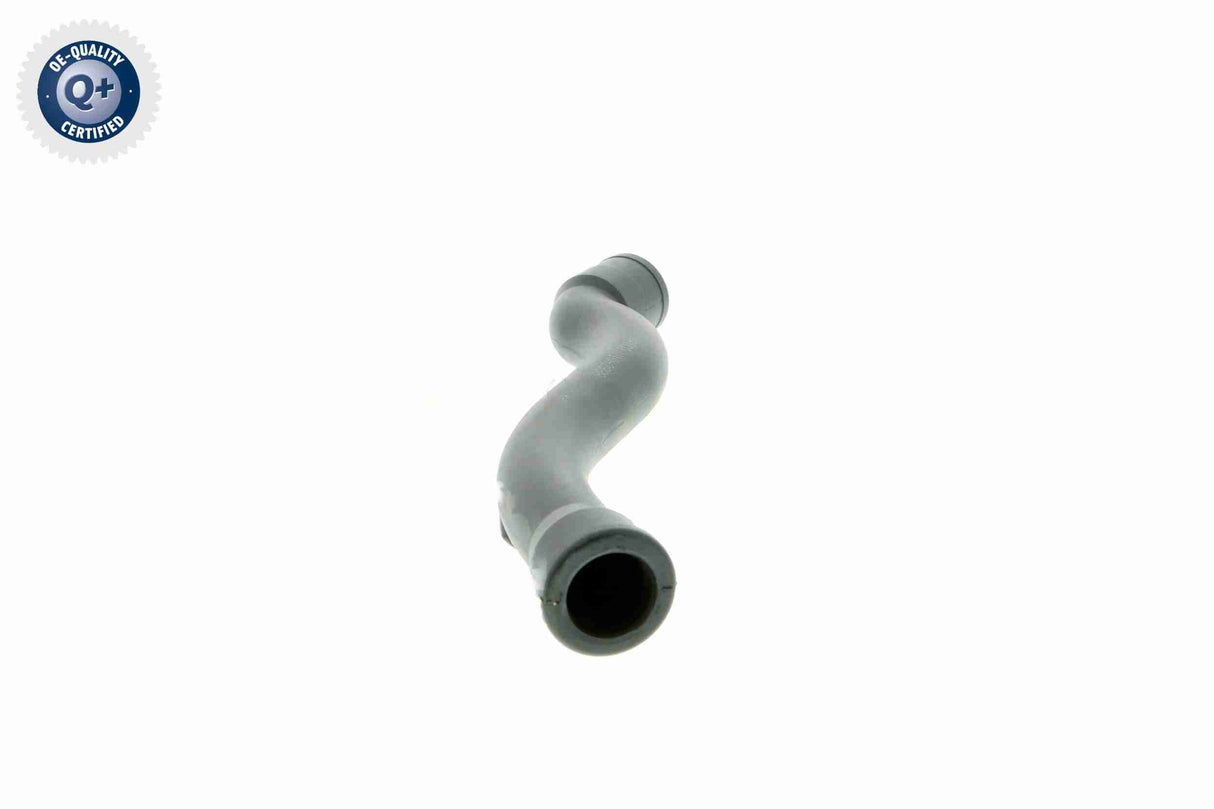Hose, crankcase ventilation - V10-2938