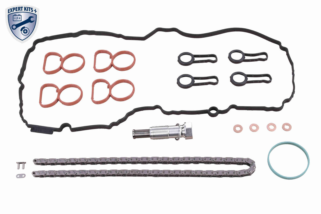 Timing Chain Kit - V20-10022
