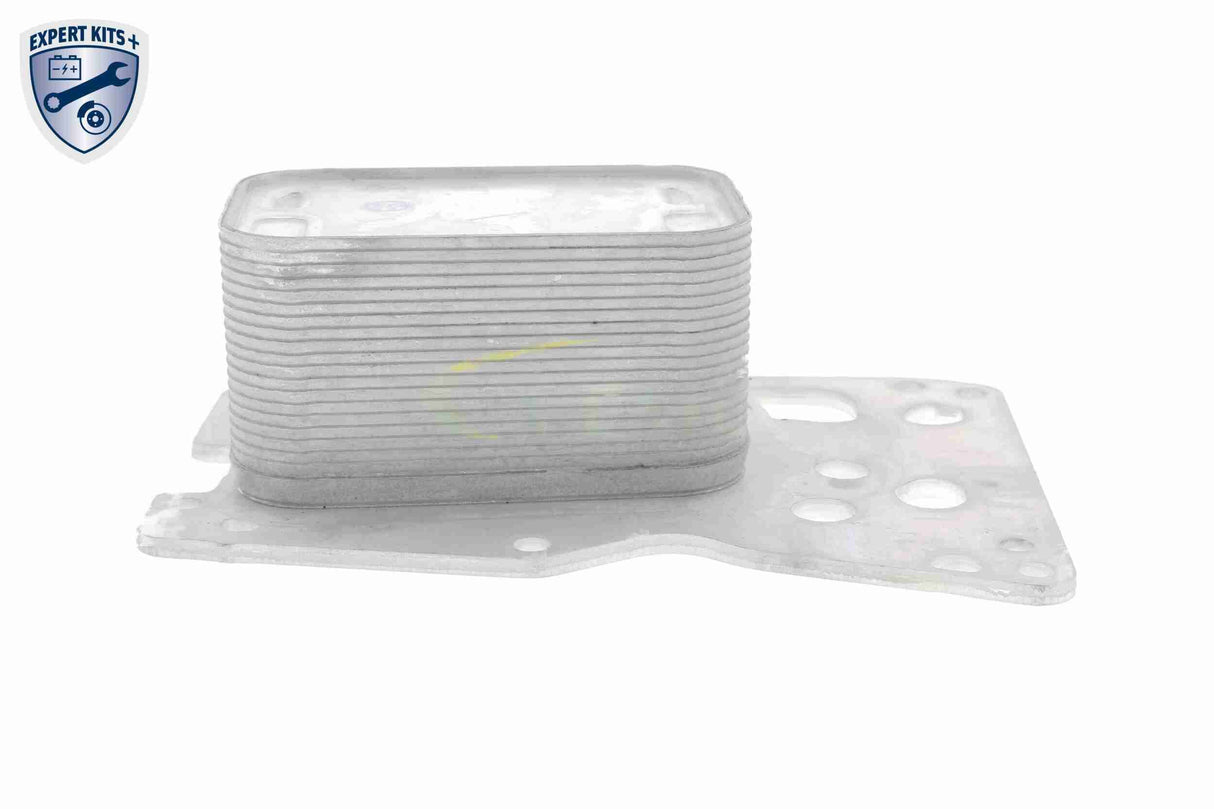 Oil Cooler, engine oil - V20-60-0076